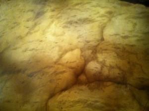 ¿QUÉ HACÉIS PARA MOSTRAR VUESTRO TALENTO?