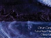 Programación Cortos enero