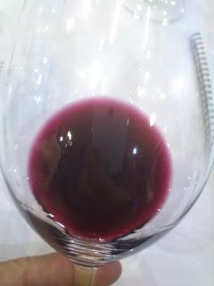 CASTELL D´ENCUS... vinos de montaña.