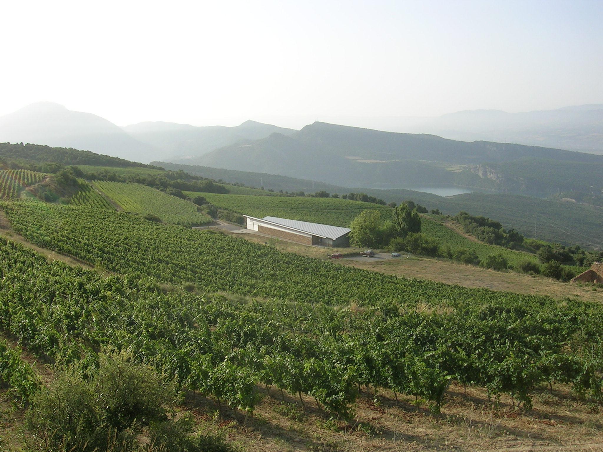 CASTELL D´ENCUS... vinos de montaña.