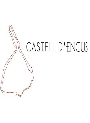 CASTELL D´ENCUS... vinos de montaña.