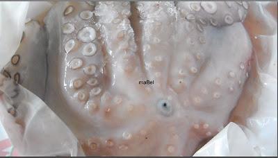 Pulpo a la gallega - Pulpo a Feira