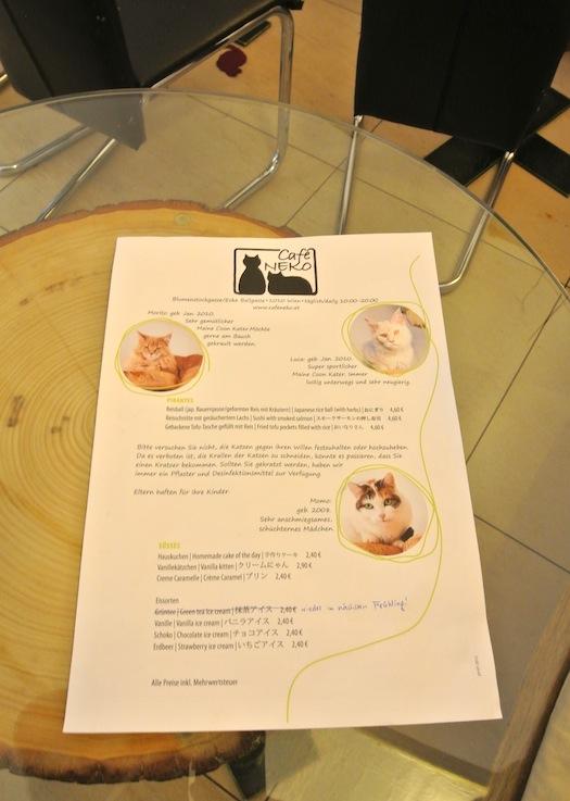 Café Neko: el primer café con gatos de Europa