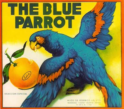 Post invitado: El arte de la naranja en la publicidad