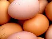 Curiosidades Gastronómicas-Los Huevos