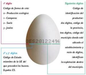 Curiosidades Gastronómicas-Los Huevos
