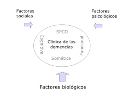 Figura 1. Modelo biopsicosocial para explicar las distintas manifestaciones clínicas de la demencia. SPCD: síntomas psicológicos  y conductuales de la demencia.