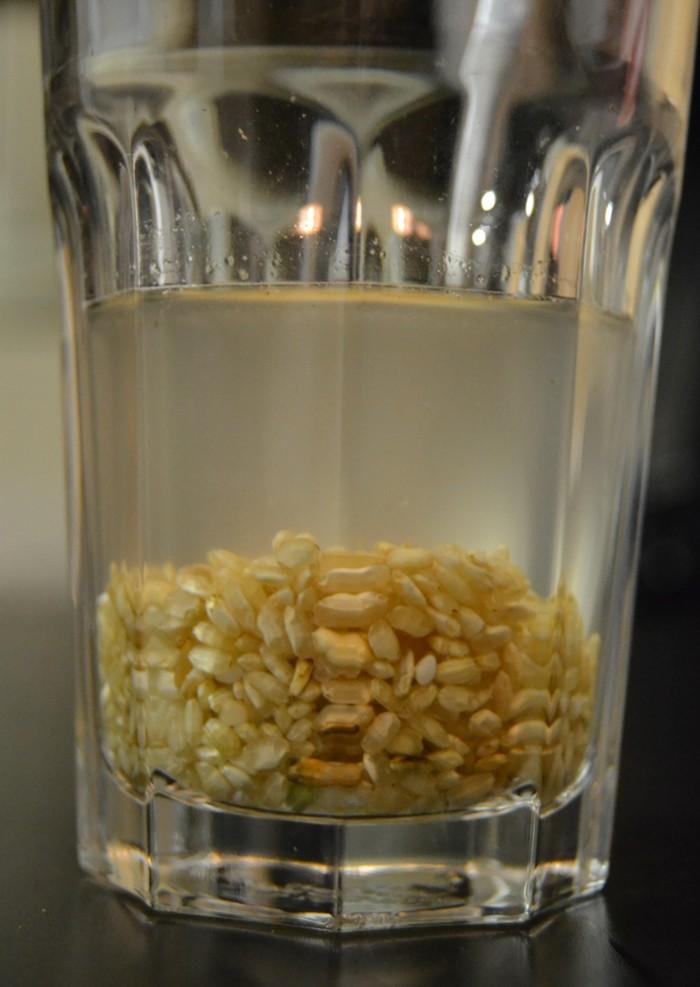 Perfecta para un evento en tiempos de crisis