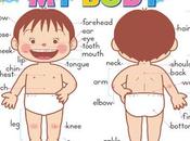 Canción partes cuerpo inglés.