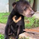 Los 10 animales más raros del mundo-6.jpg