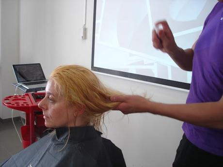 CURSO RUBIOS ASOMBROSOS II