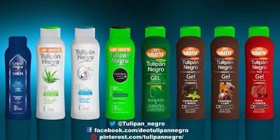 PRESENTACIÓN Y SORTEO BRISEIS