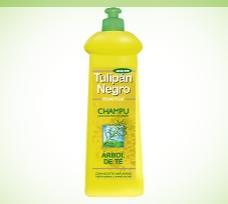 PRESENTACIÓN Y SORTEO BRISEIS