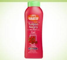 PRESENTACIÓN Y SORTEO BRISEIS