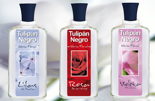 PRESENTACIÓN Y SORTEO BRISEIS