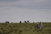 Dakar 2013: Nasser afuera, Peterhansel queda cómodo en la punta