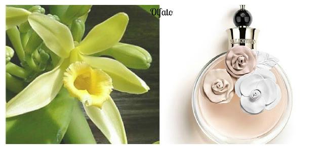 Siento...luego existo