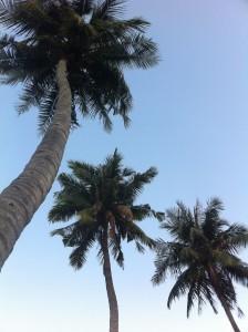 Quedamos en un rincón de lectura Quedamos en un rincón de lectura