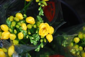 Saber vivir (y III) (La Ribera, Barcelona, junio 2011) SABER VIVIR (y III)