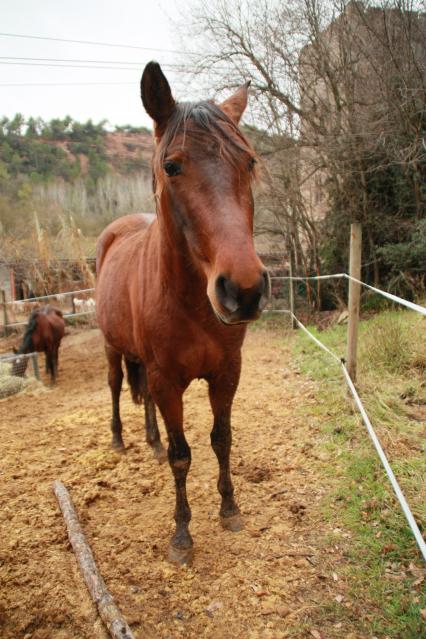 Sentirse especial por un ratito…