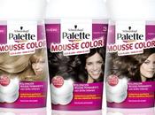 Palette Mousse Color Schwarzkopf