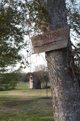 The Prairie by Rachel Ashwell