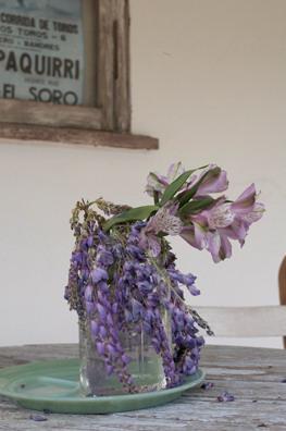 The Prairie by Rachel Ashwell