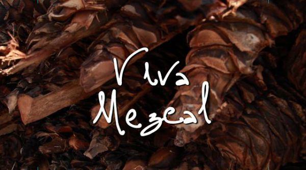 Documental: Viva Mezcal @ Cine Tonalá