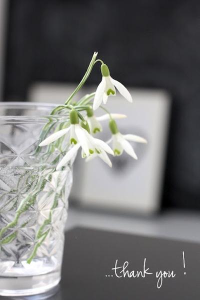 HAPPY BIRTHDAY ONLY !!  SORTEO PULSERA SILK KNOT BY LAUREL BIS