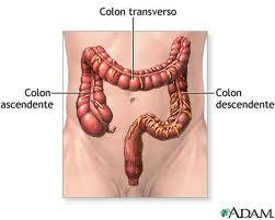 Toxicidad del colon