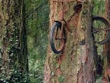 Árbol traga bicicletas