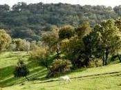 Sierra Norte Sevilla