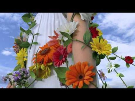 Imagen de previsualización de YouTube