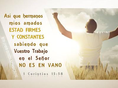 ESTAD FIRMES Y CONSTANTES