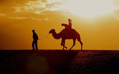 Muere Oscar, el perro viajero