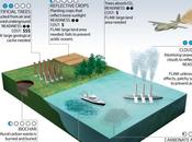 Chemtrails Morgellons test vino rojo