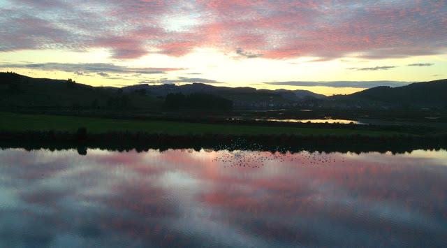 Santoña desde dentro con avescantabricas