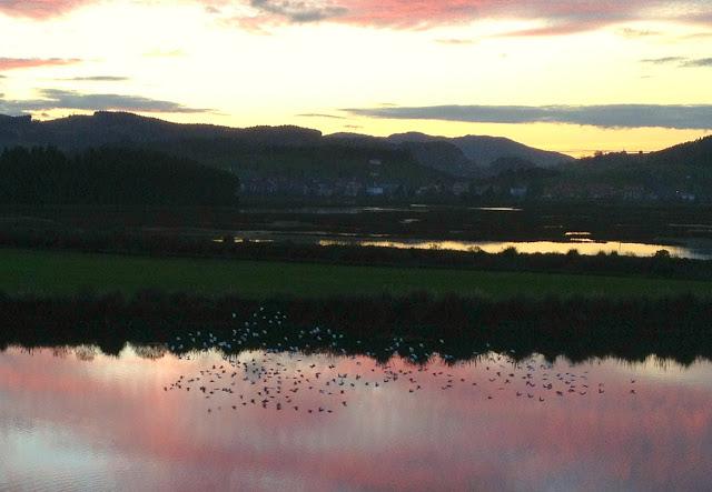 Santoña desde dentro con avescantabricas