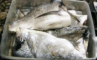 DORADA AL AJILLO CON PURÉS DE PATATA HEUNKOVE DORADA AL AJILLO CON PURÉS DE PATATA HEUNKOVE