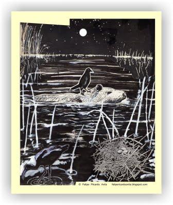 Estadía en la noche