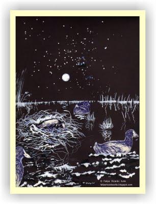 Estadía en la noche