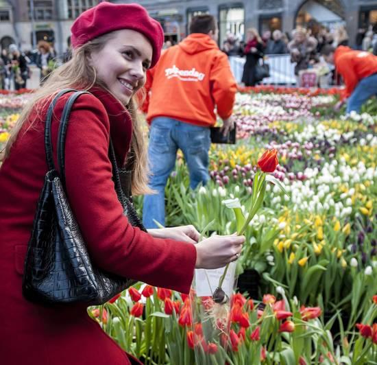 día-del-tulipán-en-holanda-tulpendag