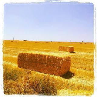 SENTIR EN IMÁGENES SENTIR EN IMÁGENES