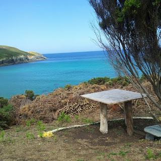 SENTIR EN IMÁGENES SENTIR EN IMÁGENES