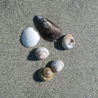 SENTIR EN IMÁGENES SENTIR EN IMÁGENES