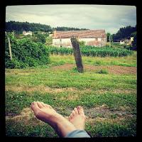 SENTIR EN IMÁGENES SENTIR EN IMÁGENES