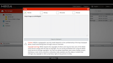 Mega - Detalle del archivo (con su enlace)