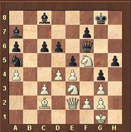 El “recordman (2.861!)” Magnus Carlsen  en el Tata Steel Wijk aan Zee 2013 (VI)