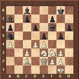 El “recordman (2.861!)” Magnus Carlsen  en el Tata Steel Wijk aan Zee 2013 (VI)