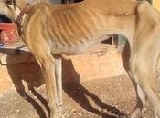 Quira... huesos tristeza